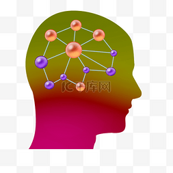 关系网结构图片_人类大脑工作网络