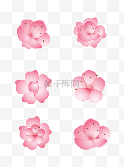 植物粉红色的花朵装饰元素