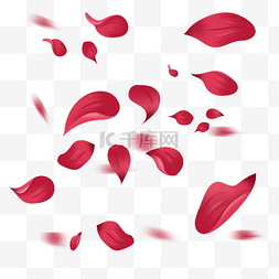 手绘红色玫瑰花瓣