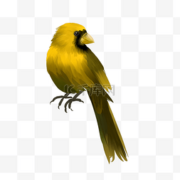 一只黄色水彩小鸟