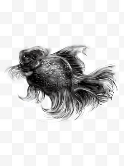 水墨泰狮中国风金鱼