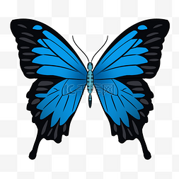 好看设计图片_中国风蓝色的蝴蝶手绘设计