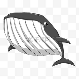 鲸鱼手绘插画图片_手绘卡通鲸鱼插画