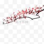 中国风水墨枫树枝装饰免扣素材