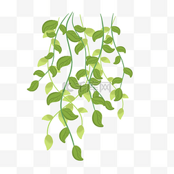 简洁海报素材图片_绿色低垂的绿萝枝叶