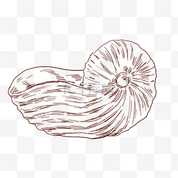 手绘贝壳图片_卡通手绘海边海螺