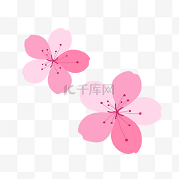 粉色樱花花瓣春天图片_矢量多彩丰富樱花