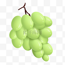 手绘水果葡萄插画