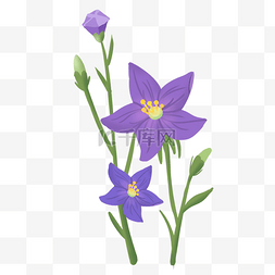 手绘叶子紫色图片_手绘桔梗草本植物插画