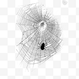 黑色手绘万圣节蜘蛛网