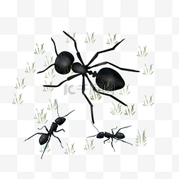 可爱小蚂蚁卡通图片_三只小蚂蚁手绘装饰
