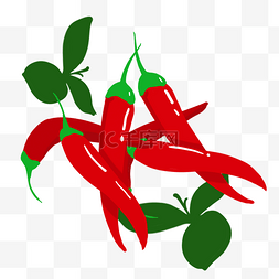 辣椒自然种植蔬菜红色