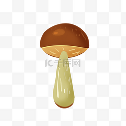 咖啡色蘑菇