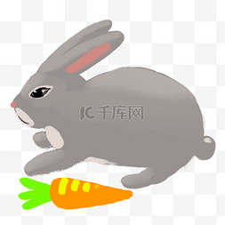 吃萝卜兔子图片_吃萝卜的小兔子