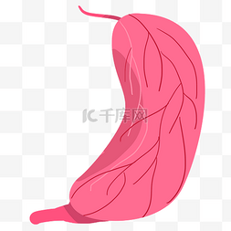 红色的胃图片_人体器官胃部插画