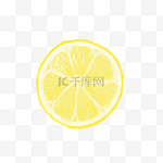 黄色柠檬片手绘设计图