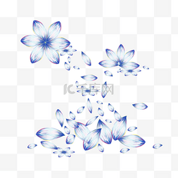  蓝色花朵 