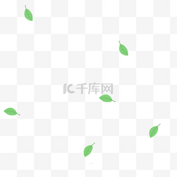 绿色茶叶树叶漂浮叶子