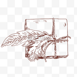 绑带手绘图片_手绘植物包装盒