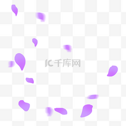 紫色卷起飘逸飞扬花瓣