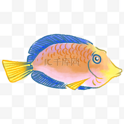 可爱的鱼儿图片_可爱的创意热带鱼插画