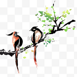 春天鸟类在树枝上的两只