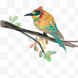 树枝装饰图图片_中国风水彩动物之彩色小鸟手绘免