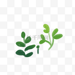 绿色植物发芽图片_小清新植物