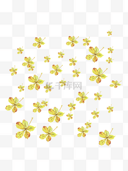 植物漂浮树叶图片_手绘植物漂浮树叶黄绿色枫叶