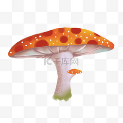 漂亮的蘑菇免抠图