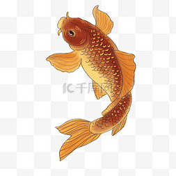 水里动物图片图片_中国风手绘鱼插图