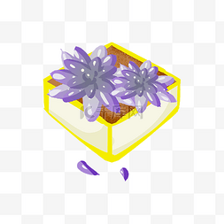 花卉紫色多肉手绘