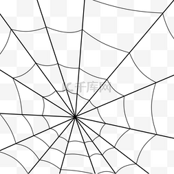 手绘黑色卡通蜘蛛网