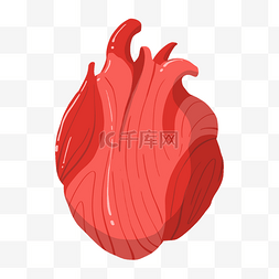 人体器官组织图片_手绘好心脏的插画