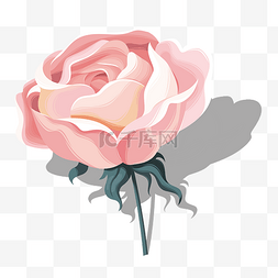 粉色花朵矢量素材图片_粉色时尚唯美矢量玫瑰花朵