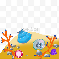 大贝壳图片_贝贝壳扇贝