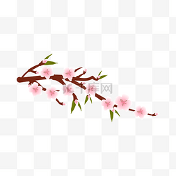 粉色树叶图片_手绘粉色桃花插画