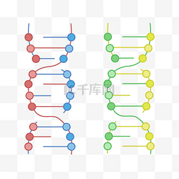 DNA双螺旋图片_简约基因链矢量图