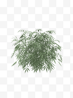 扁平简约手绘风绿色植物竹子竹林