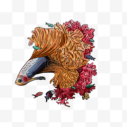 插画珊瑚金鱼