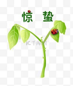 惊蛰趴在叶子上的昆虫插画