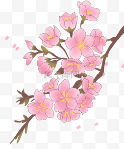 樱花漂亮图片_春季飘荡的樱花插画