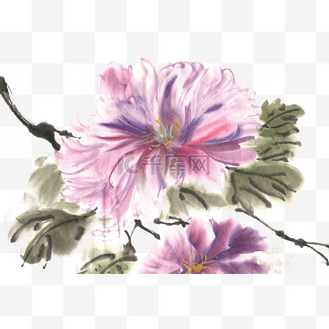 盛开的鲜花水墨画png免抠素材
