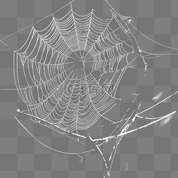 蜘蛛网手绘图片_蜘蛛网网子蜘蛛网元素