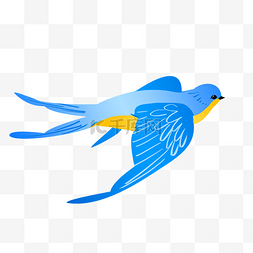 水彩蓝色燕子插画