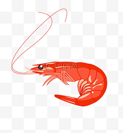 海洋动物插画图片_手绘卡通红色的虾插画