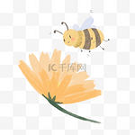 大自然蜜蜂采蜜蜂蜜