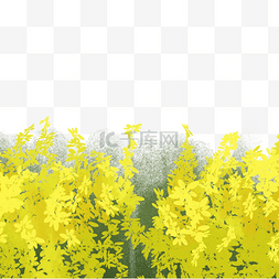 卡通黄色植物草丛