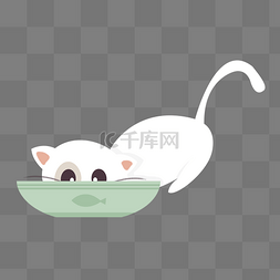 可爱鱼图片_清凉夏天夏季盛夏白色猫咪吃饭手