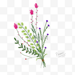 水彩手绘插画花卉
